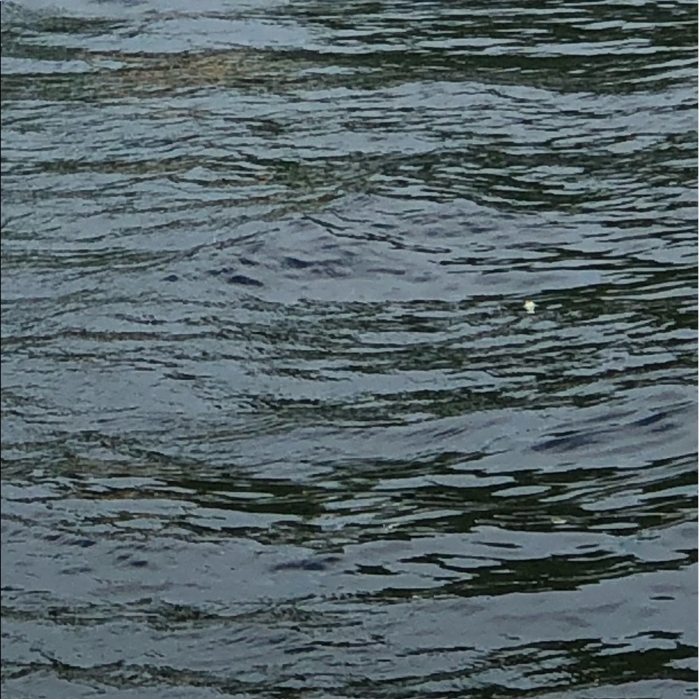 Meet your Posher, Meredith